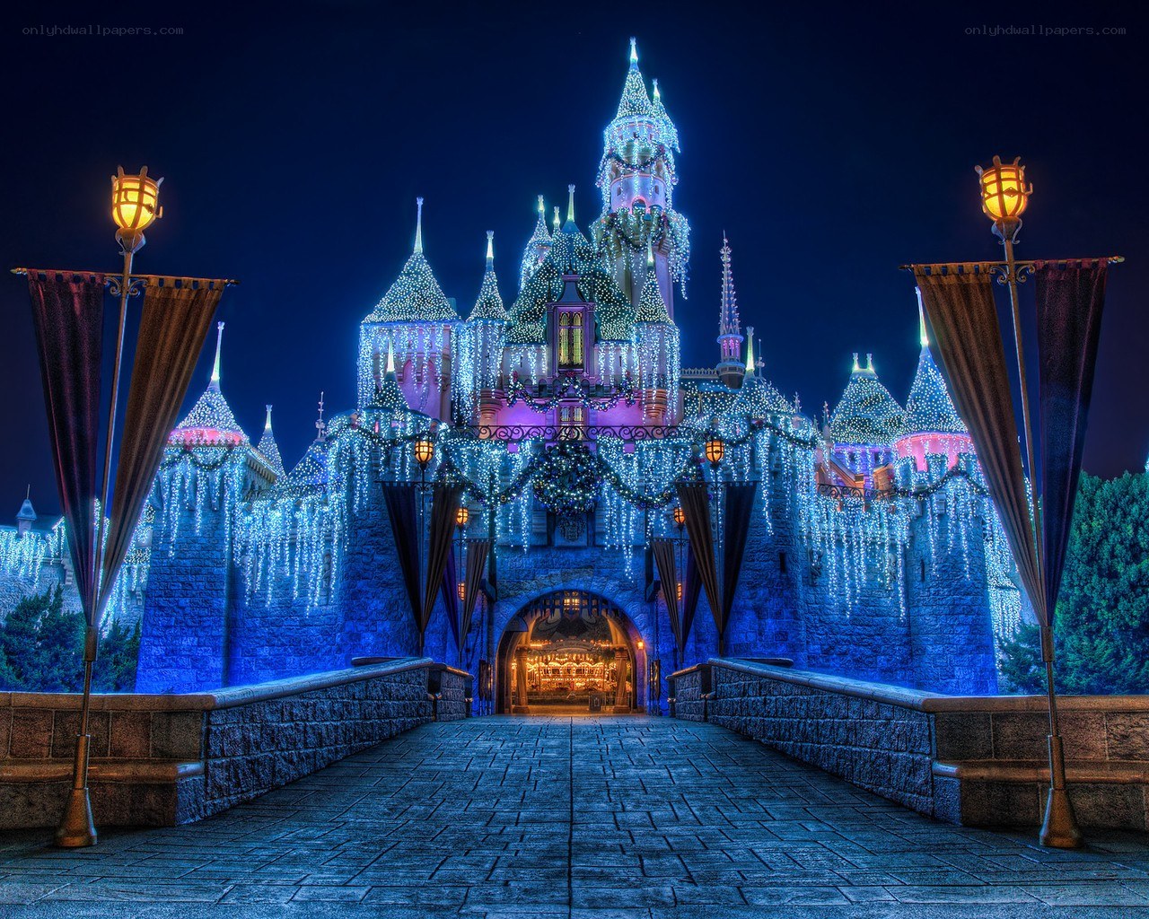 Sleeping Beauty Castle at night
