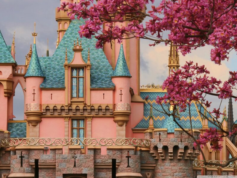 Sleeping Beauty Castle — Pink, Serene