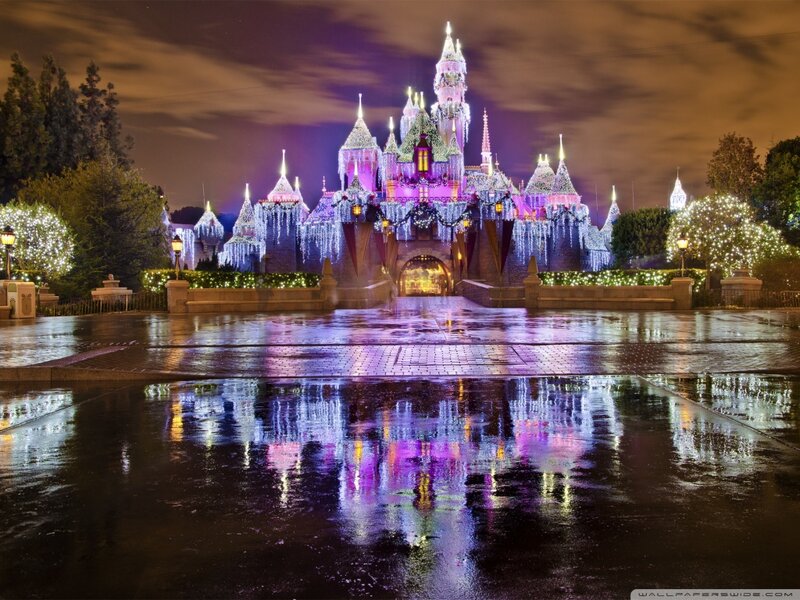 Sleeping Beauty Castle — Purple, Magical, Night