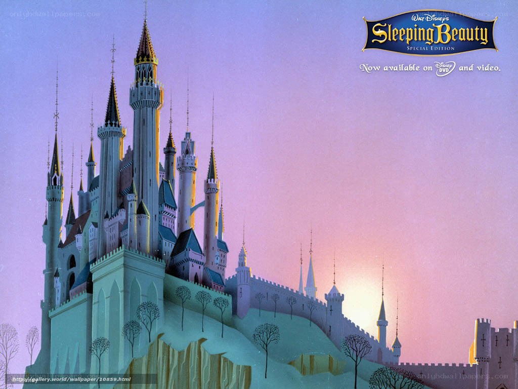 Sleeping Beauty Castle
