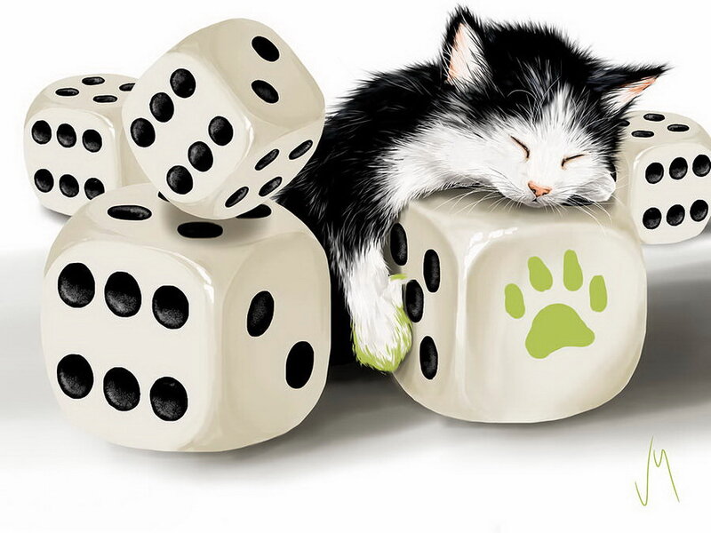 Sleeping Black and White Kitten — Peaceful