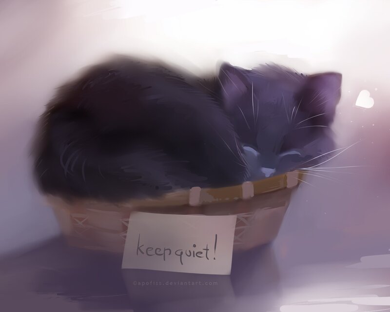 sleeping black cat in basket