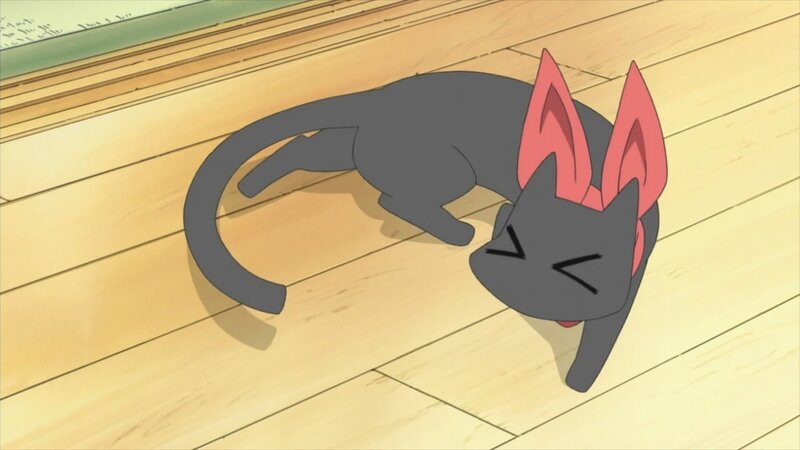 sleeping black cat