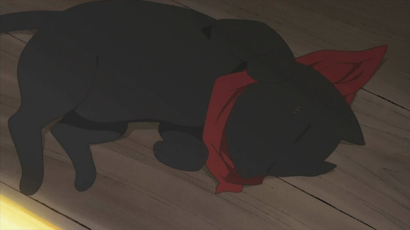 sleeping black cat with red scarf