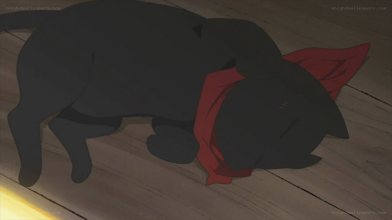 sleeping black cat with red scarf