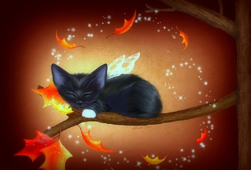 Sleeping Black Kitten — Serene