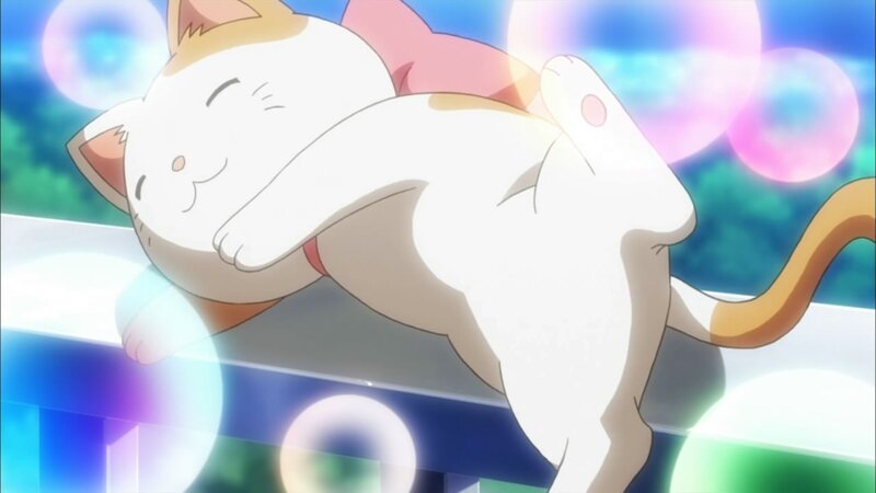 sleeping cat anime scene