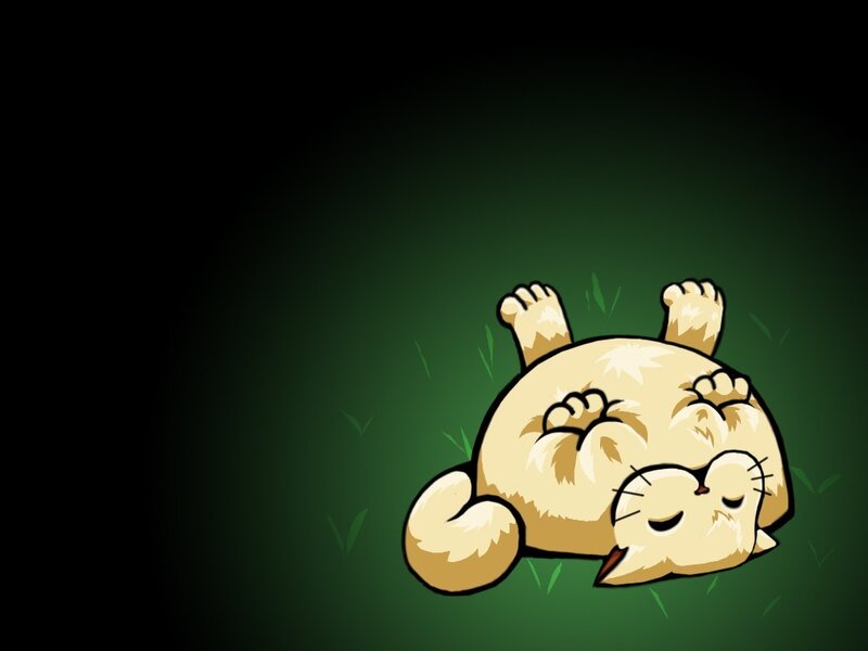 sleeping cat in grass