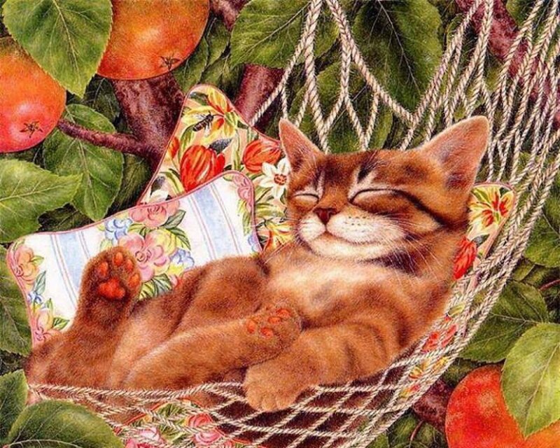 Sleeping Cat in Hammock — Brown