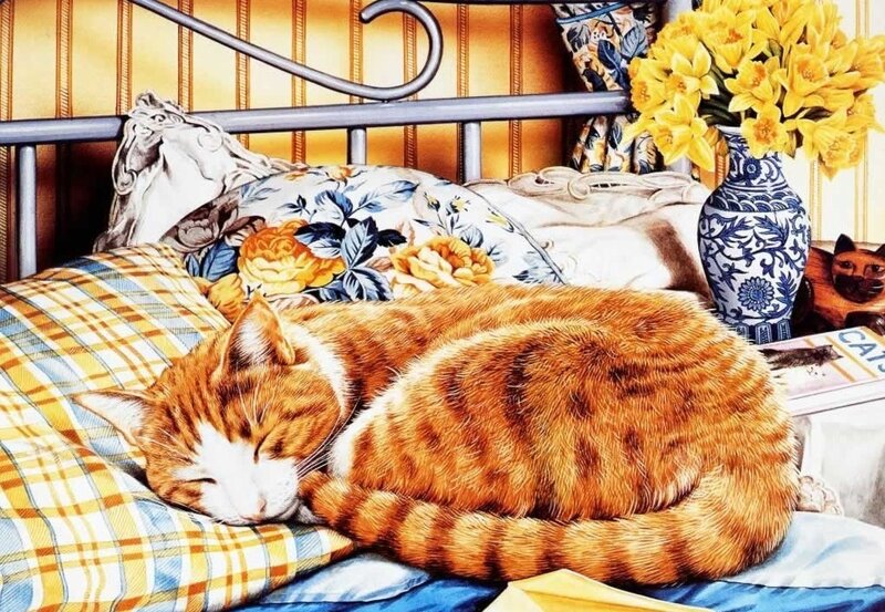 Sleeping cat on a bed