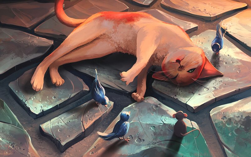 Sleeping Cat on Stones