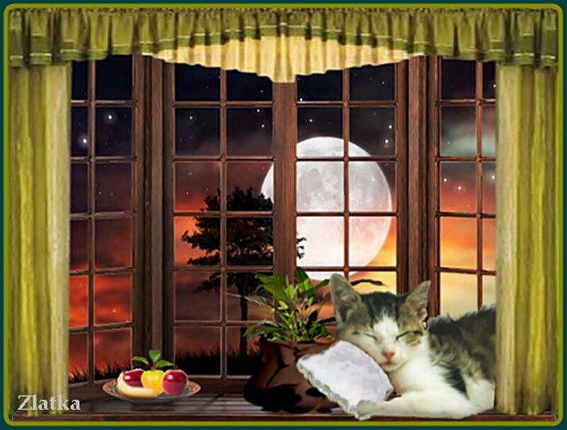 Sleeping Cat on Windowsill — Green