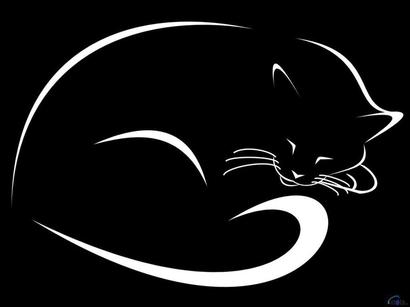 Sleeping Cat Silhouette — Black