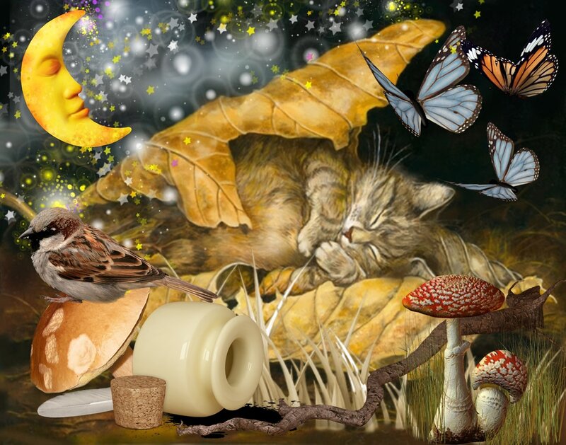 Sleeping Cat under Leaf