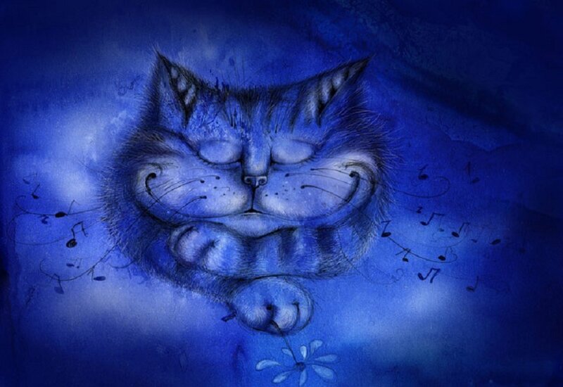 Sleeping Cat with Music Notes