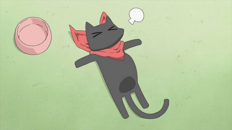 sleeping cat with scarf