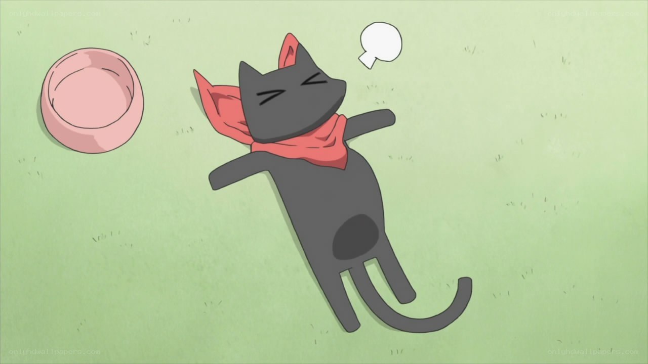 sleeping cat with scarf