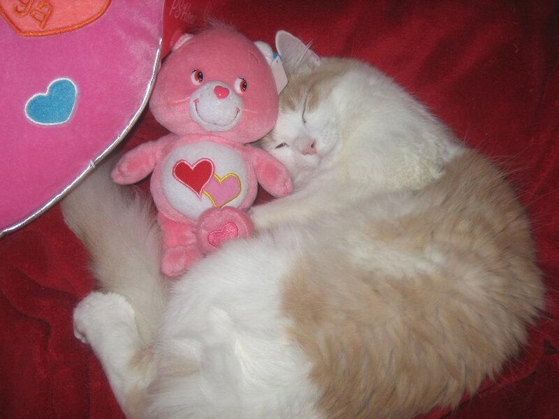 Sleeping Cat with Toy — Red