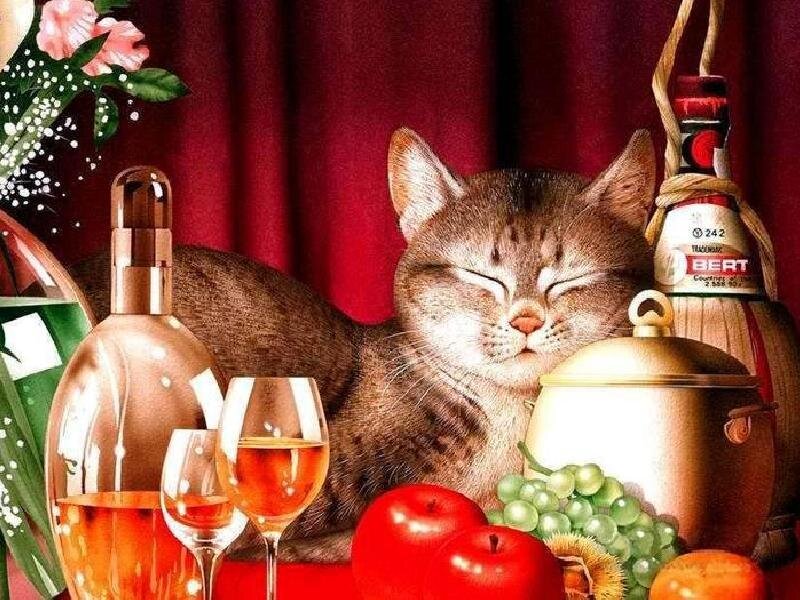 Sleeping cat with wine and fruit