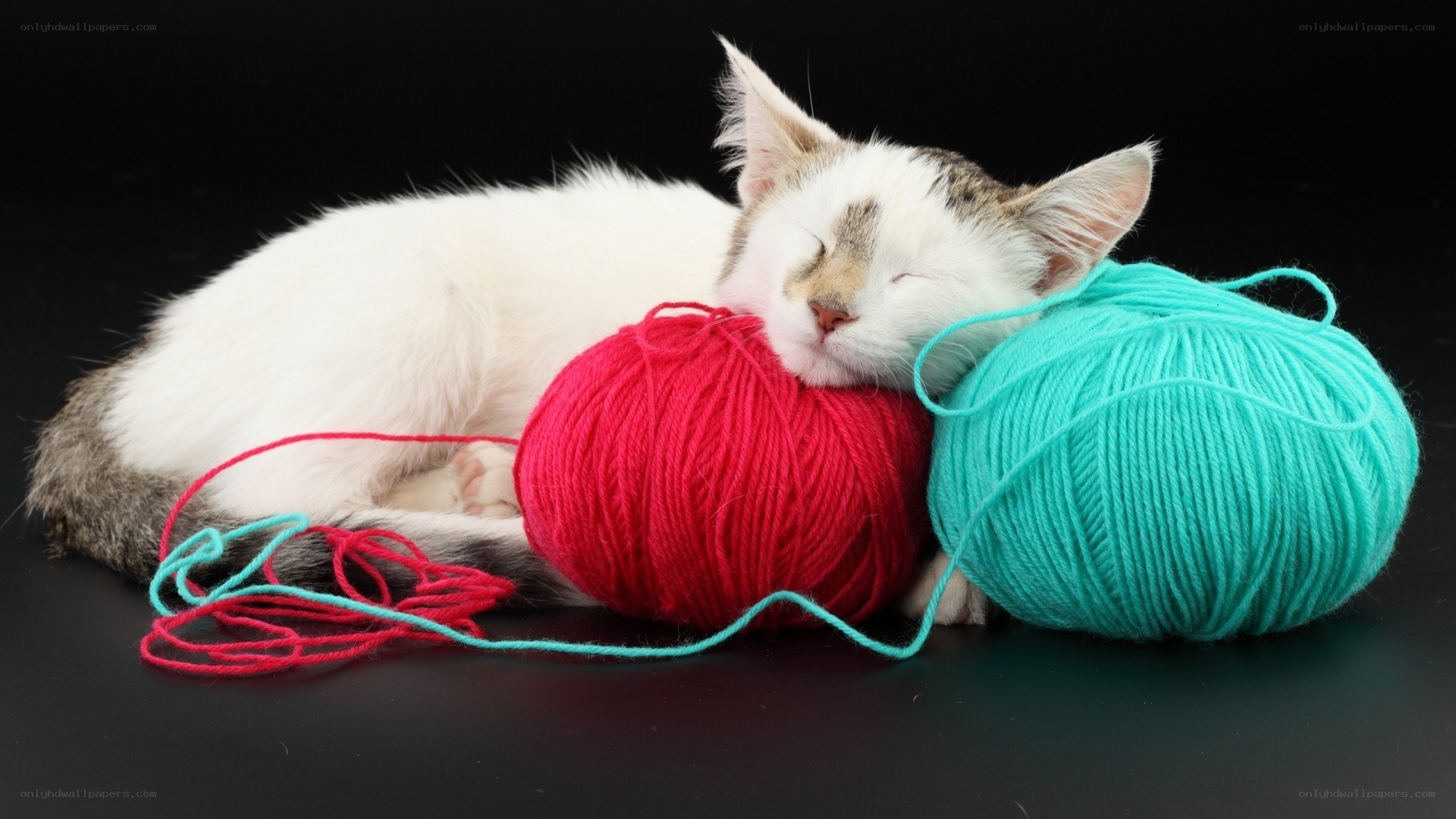 sleeping cat with yarn balls