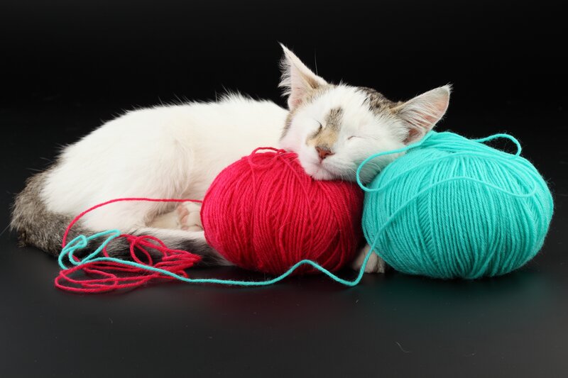 Sleeping Cat with Yarn — White, Peaceful