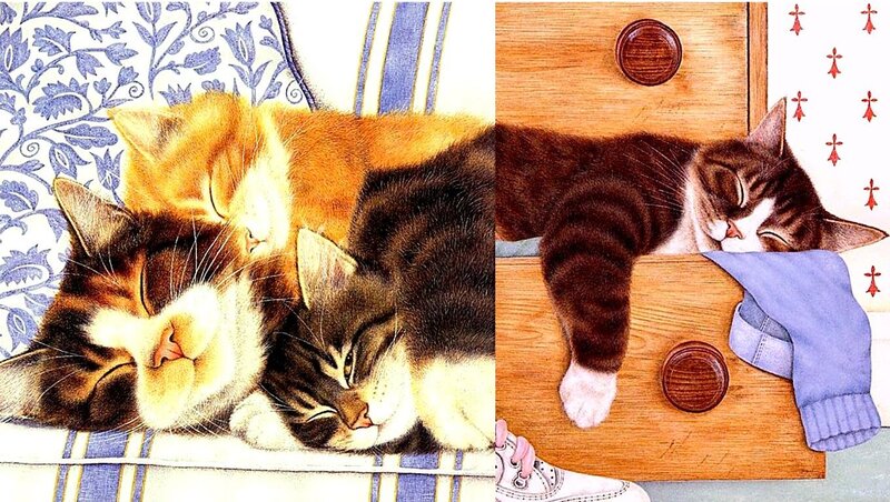 Sleeping Cats on Furniture