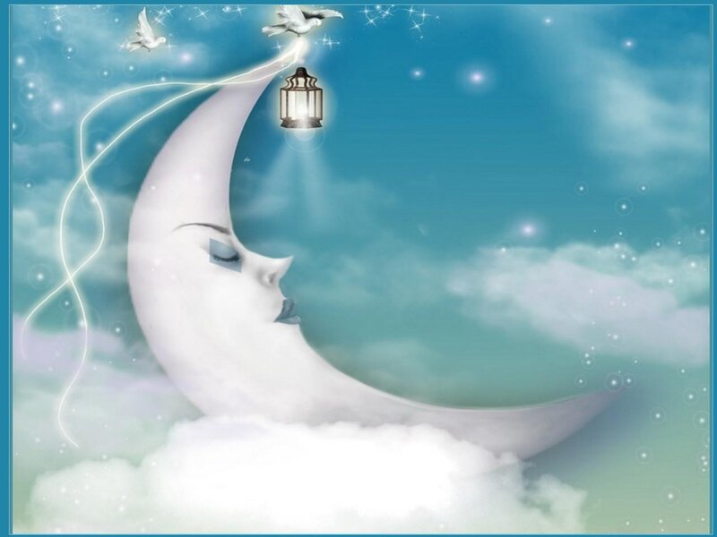 Sleeping Crescent Moon
