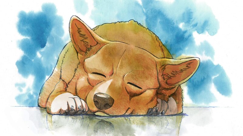 Sleeping Dog — Brown