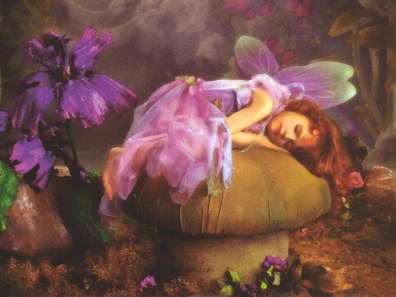 Sleeping fairy on a mushroom