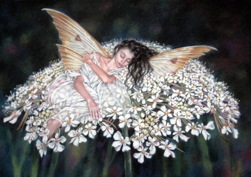 Sleeping Fairy on Flowers