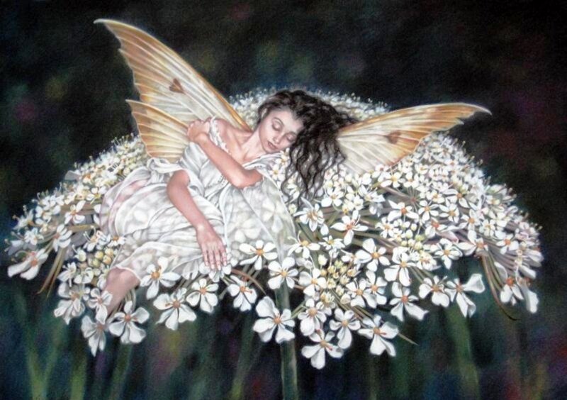 Sleeping Fairy on Flowers — White