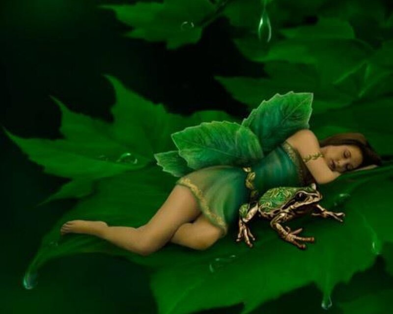 Sleeping Fairy on Leaf
