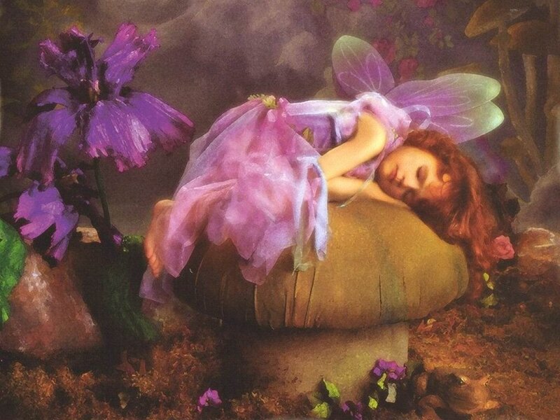 Sleeping Fairy on Mushroom