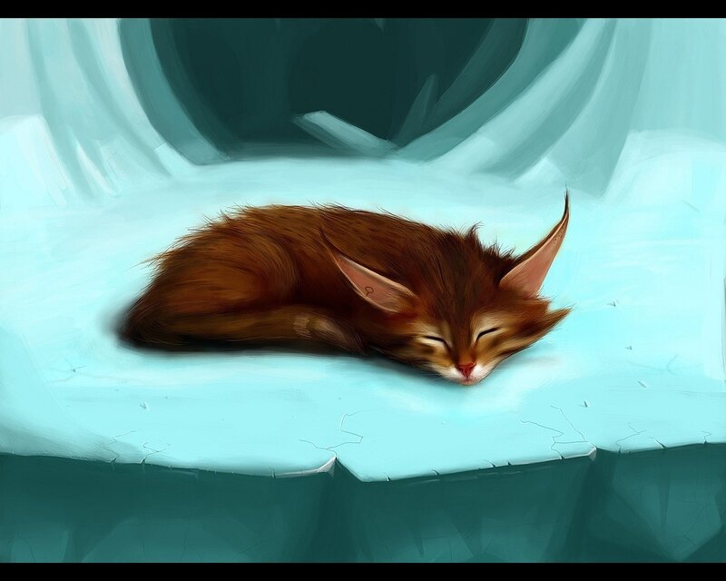 Sleeping fox cub on ice
