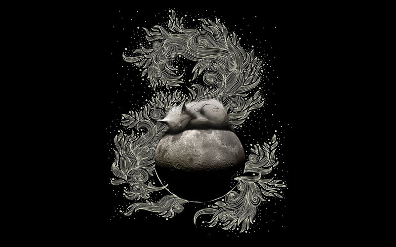 Sleeping Fox on Moon