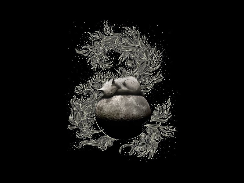 sleeping fox on the moon