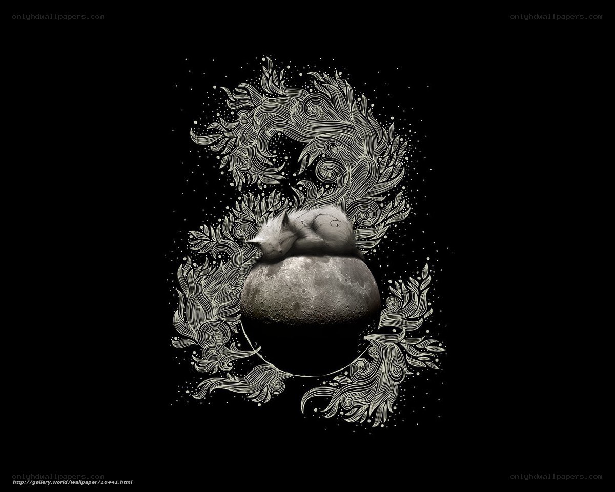 Sleeping fox on the moon