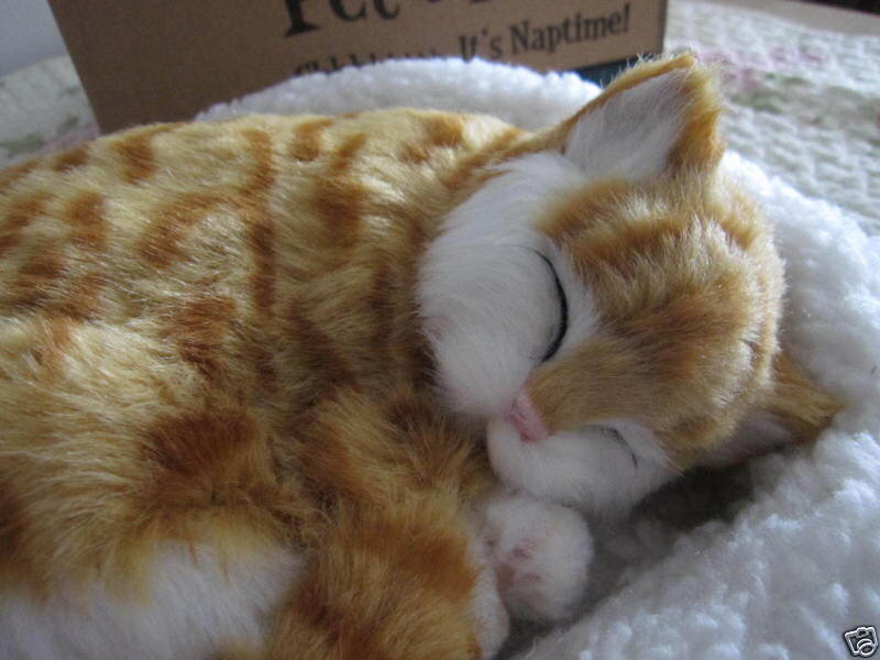 Sleeping Ginger Cat Toy