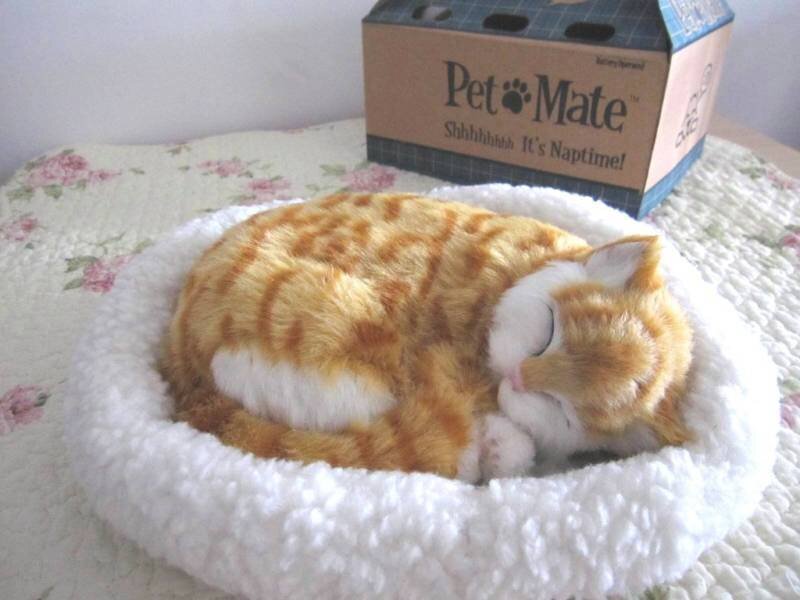 Sleeping Ginger Cat Toy — White