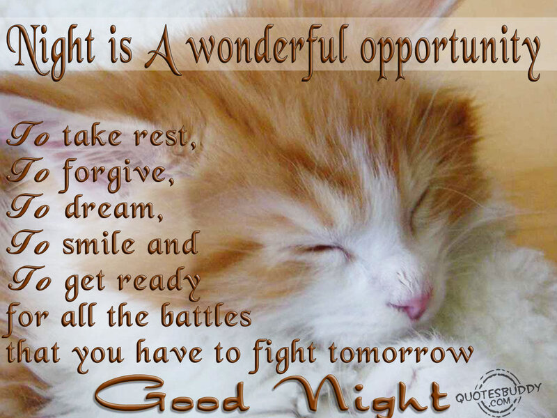 Sleeping Ginger Kitten — White, Peaceful, Night