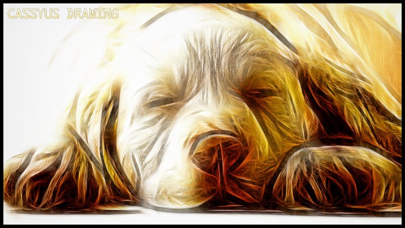 sleeping golden dog