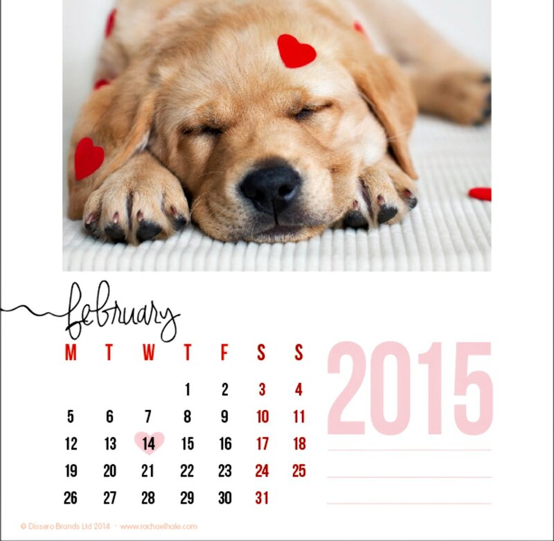 Sleeping Golden Retriever Puppy — White, Peaceful