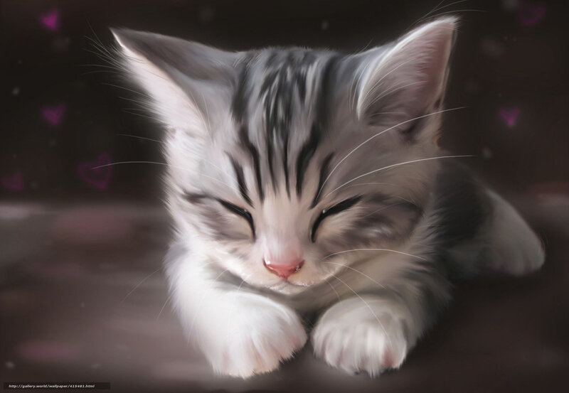 Sleeping Gray Kitten — Peaceful, Digital Art