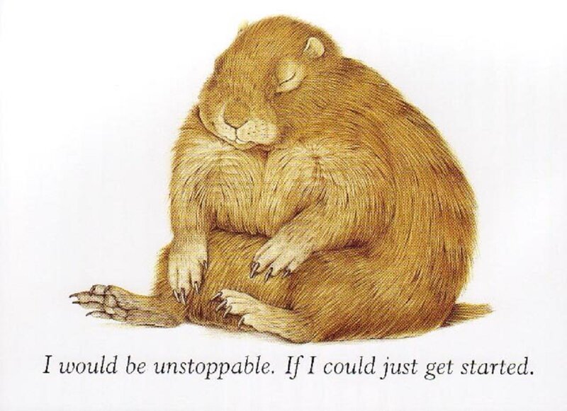 Sleeping Groundhog