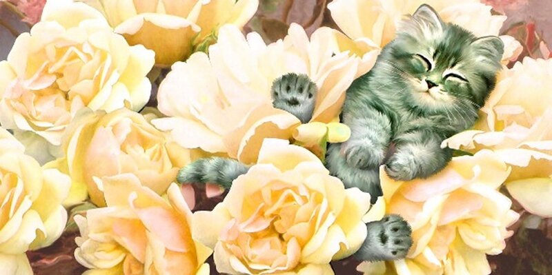 Sleeping Kitten in Flowers