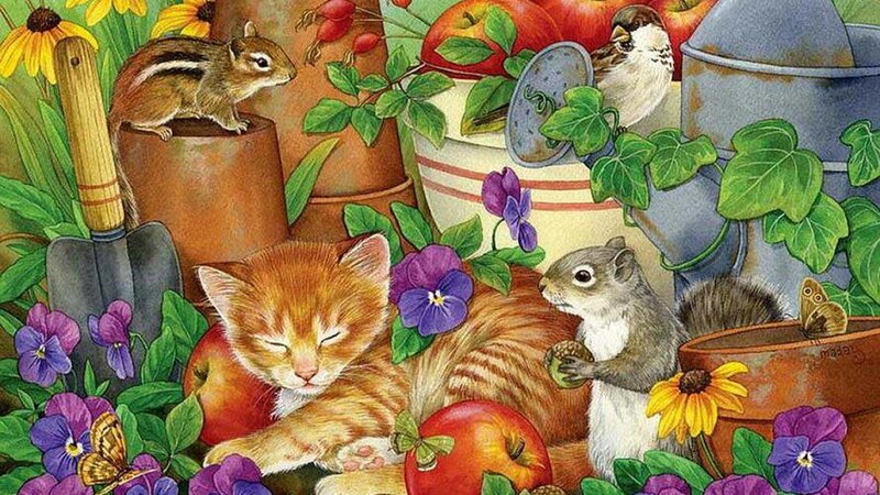 Sleeping Kitten in Garden — Green