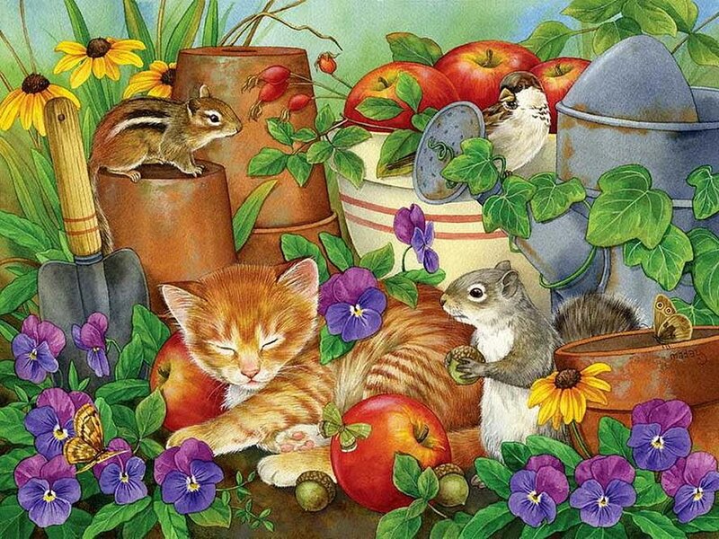 Sleeping Kitten in Garden