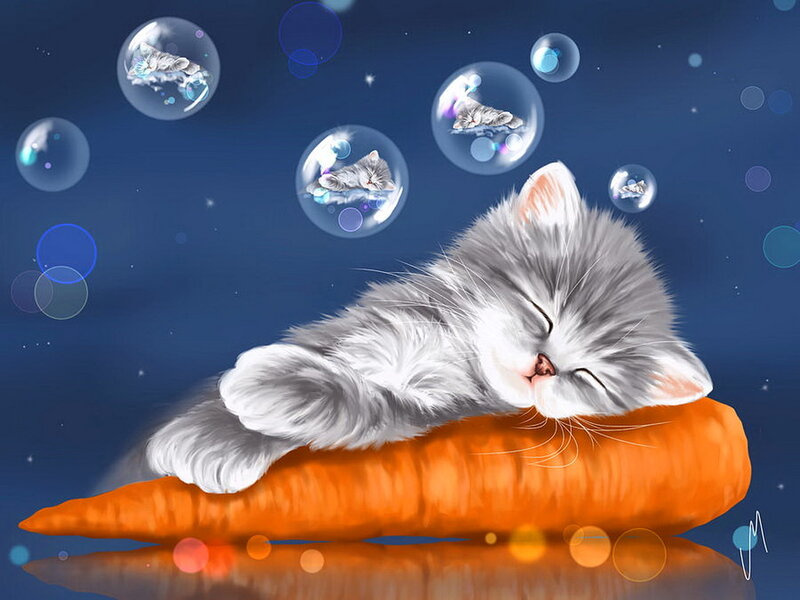 Sleeping Kitten on Carrot