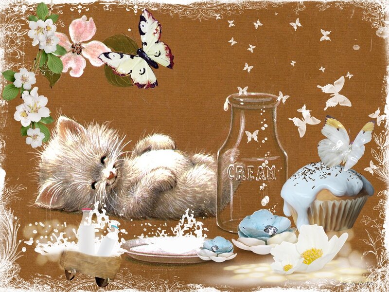 Sleeping Kitten on Table