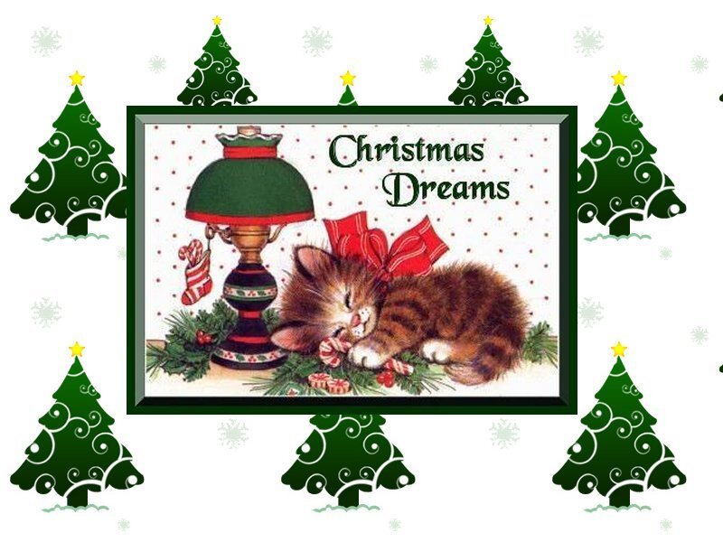 Sleeping Kitten with Bow